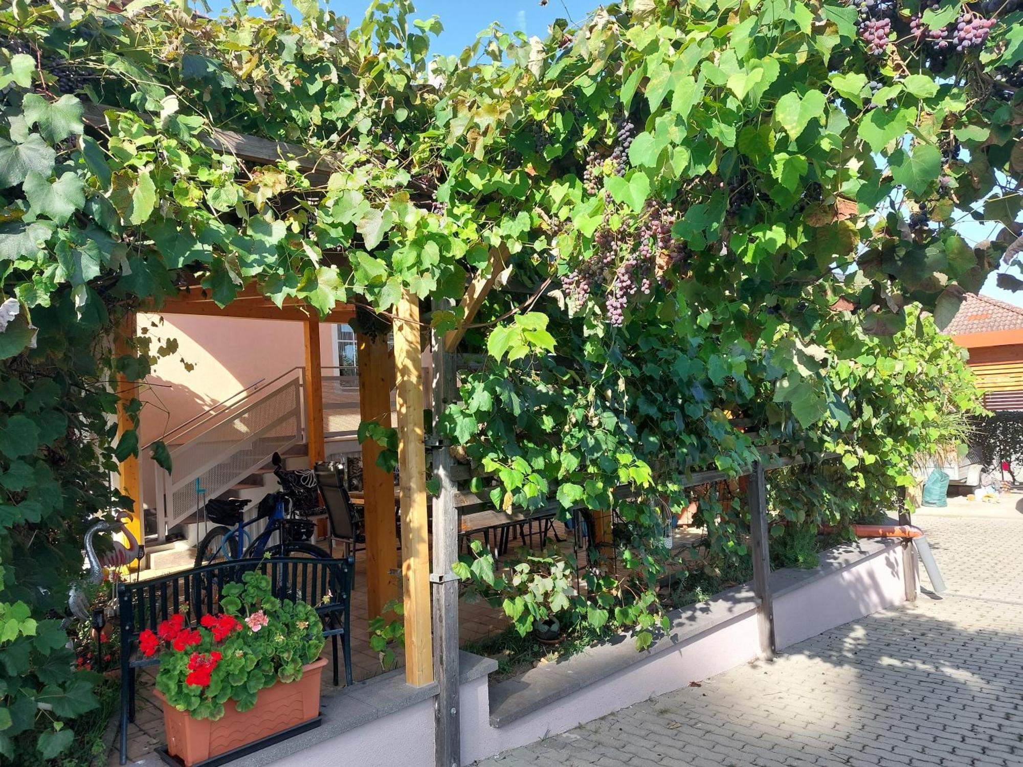 Ferienwohnung Gerti Pinkafeld Luaran gambar